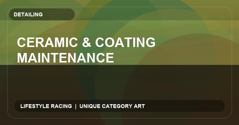 Ceramic & Coating Maintenance